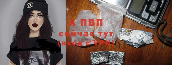 гидра Алзамай